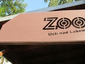 Ústecká zoo představila plán rozvoje, část prvního výběhu bude hotová v létě