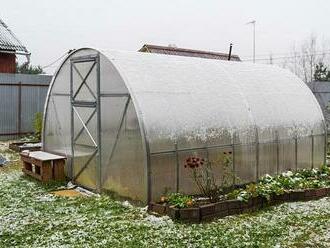 Užívejte úrody i brzy na jaře. Co v zimě vypěstovat ve skleníku?