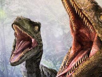Tyrannosaurus rex mohol byť až o 70 percent väčší, než si vedci doteraz mysleli