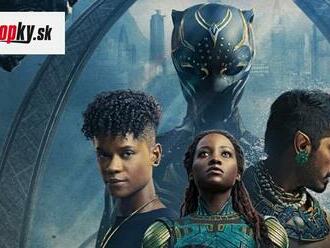 RECENZIA Black Panther po druhé: Má Wakanda stále miesto na zemi aj v našich kinách?