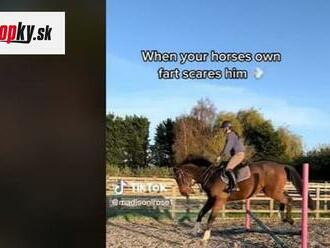 Kôň skákal parkúr, keď si zrazu uľavil: Vyľakal sa vlastného prdu, tú reakciu musíte vidieť!