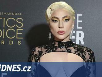 Devatenáctiletý střelec a únosce psů Lady Gaga dostal 21 let odnětí svobody