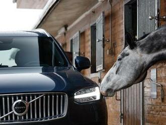 Volvo má ke koňům ještě blíž