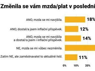 Anketa Profesia.cz: 44% zaměstnanců dostalo přidáno, 45% ne