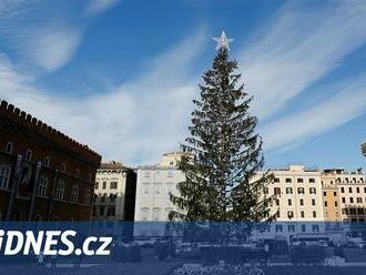 Vánoční strom v Římě zastiňují obří solární panely. To už přeháníte, reagují lidé