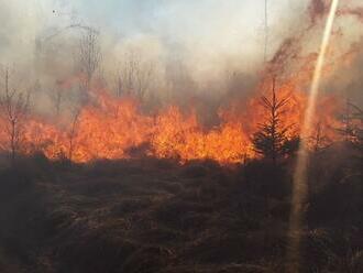 Lesních požárů bude kvůli změně klimatu přibývat, varuje vědec z Brna
