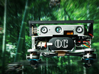 Roj dronů se dovede precizně pohybovat lesem