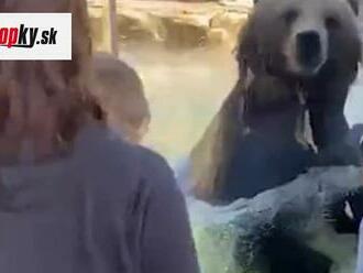 VIDEO Medveď v zoo sa stal hitom internetu: Neuveríte, čo robil pri deťoch