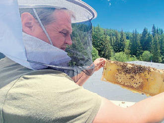 Hotelovým včielkam na Štrbskom Plese sa darí