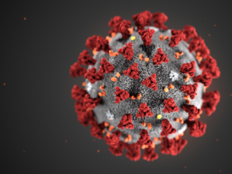 Štúdie ukázali, že únik koronavírusu z laboratória je veľmi nepravdepodobný
