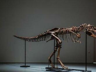 USA: Na aukcii Sotheby's predali výnimočnú kostru mäsožravého dinosaura