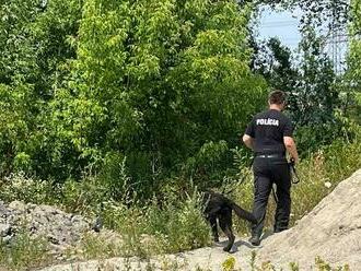 Polícia pátra po dvojročnom chlapcovi z Lemešian, stratil sa pri Toryse