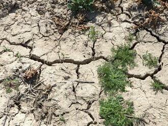 60-percent územia Slovenska trápi extrémne sucho: Tomu je koniec, zrážky prinesú vlahu