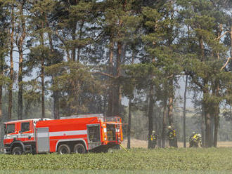 U Krupky na Teplicku odpoledne hořel les, hasiči požár zlikvidovali