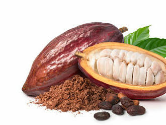Kakao umí snížit vysoký tlak. Zdravým lidem přitom jejich normální tlak nemění
