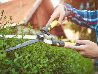 Striháte kríky správne? Vyberte si vhodné záhradnícke nožnice!