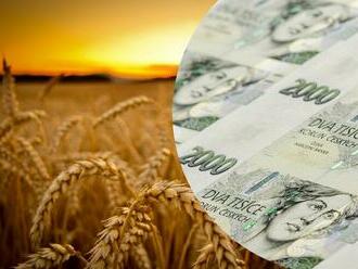 Zpráva o stavu zemědělství ČR 2021: Produkce zemědělského odvětví byla nejvyšší za posledních pět let a dosáhla 152,8 miliard korun