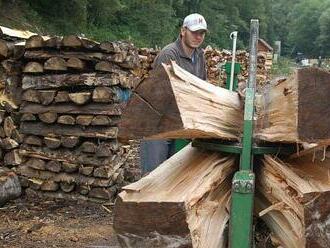 Palivového dřeva je dostatek. Jeho cena ale mnohde vzrostla až třikrát