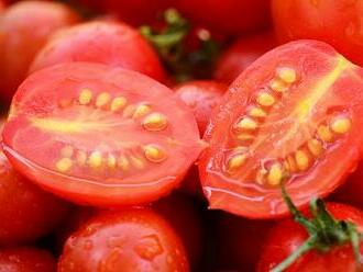 Jak sbírat semínka rajčat?