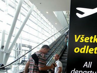 Bratislavské letisko zaznamenáva v lete viac stretov lietadiel s vtákmi