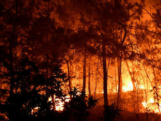 Horúčavy rozdúchali požiare aj v Bulharsku, úrady vyhlásili stav núdze