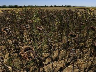 Francúzsko zasiahla štvrtá vlna horúčav, Španielsko hlási najteplejší júl vôbec