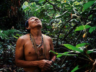 Povolanie? Stromolezec v Amazónii