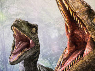 Silný zhryz dravých dinosaurov umožnil menšie očné jamky, uvádza štúdia