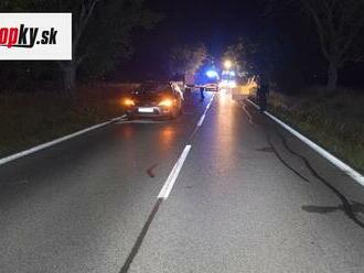 TRAGÉDIA Dopravnú nehodu pri Holíči neprežil chodec: Alkohol sa u vodičov nepotvrdil