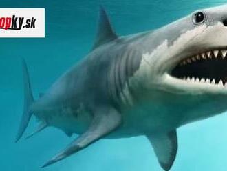 Muž plával v mori, keď na neho zaútočil žralok: Lekári zistili, že mu predátor zachránil život