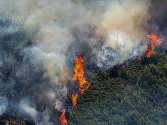 Európa čelí náročnému letu. Tento rok v EÚ zhorelo 700-tisíc hektárov lesov