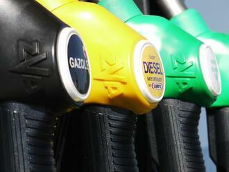 Zákaz biopaliv v EU neprošel. Podle aktivistů prohloubí potravinovou krizi