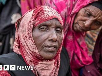 Somalia drought: Are US terror laws hampering aid effort?