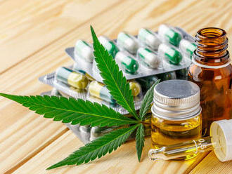 Vo Švajčiarsku sa začne pokus s predávaním marihuany v lekárňach na rekreačné použitie