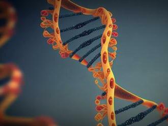Za stárnutí buněk možná může jemná genová dysbalance