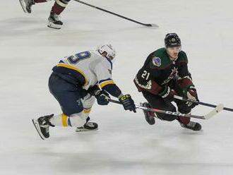 ONLINE: Arizona Coyotes - Anaheim Ducks dnes, Miloš Kelemen debutuje v NHL