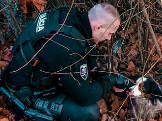 Polícia zachránila v Nitre psíka, ktorý bol zakliesnený v plote niekoľko dní