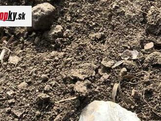 Neuveriteľný objav v Trnavskom kraji: Muž našiel pri potoku pravekú zbraň