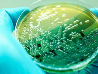 Geneticky upravené baktérie môžu bojovať s odolnosťou proti antibiotikám