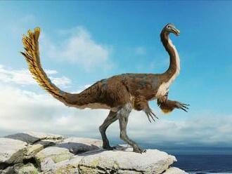 Na pobreží Anglicka objavili rekordne veľkú stopu mäsožravého dinosaura