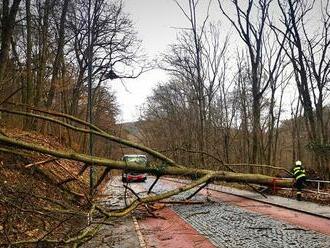 Silný vietor vyvracia stromy po celej Bratislave