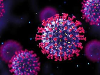 Desiatky vzoriek odpadových vôd a všetky pozitívne: Kde stúpla nálož nového koronavírusu?