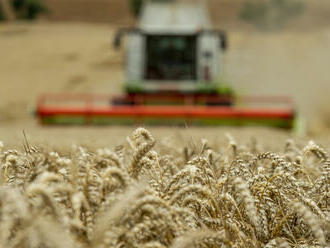 ČSÚ: Zisk zemědělství loni vzrostl meziročně o 5,8 pct na 27,9 miliardy Kč