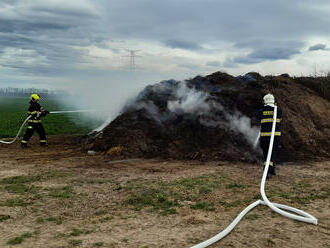 Jednotka ze stanice Louny a dobrovolná jednotka obce Cítoliby vyjely k požáru hromady zemědělského…