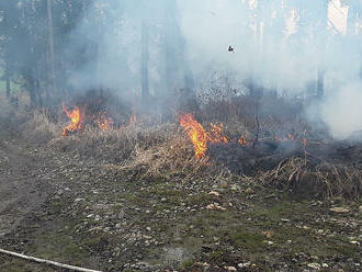 Čtyři jednotky profesionálních a dobrovolných hasičů likvidují požár lesního porostu v katastru…