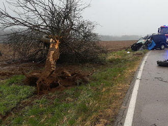 Nedaleko Římovic na Benešovsku řešíme tragickou dopravní nehodu osobního automobilu, který narazil…