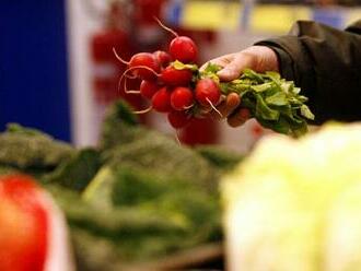 Fenomén skleníků: Lidé bojují proti předražené zelenině domácím pěstováním