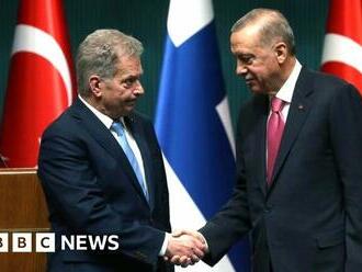Turkey approves Finland Nato membership bid