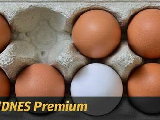 Test čerstvých vajec: Jsou nejlepší z ekofarmy, haly, nebo klece?