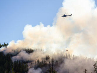 S hašením lesních požárů v ČR mají letos případně pomoci dva pronajaté vrtulníky